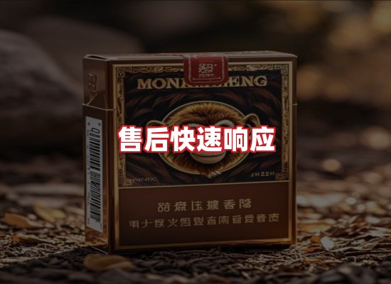 专业团队